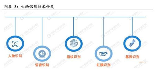 电子设备行业专题研究 生物识别技术发展前景广阔